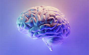 Imagen de Milad Fakurian en Unsplash